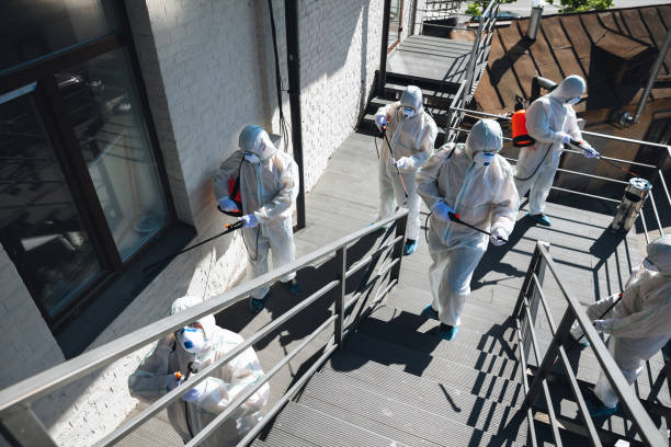 Best Mold Remediation for Healthcare Facilities  in Yuc Valley, CA