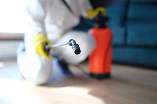 Best Residential Mold Inspection & Testing  in Yuc Valley, CA