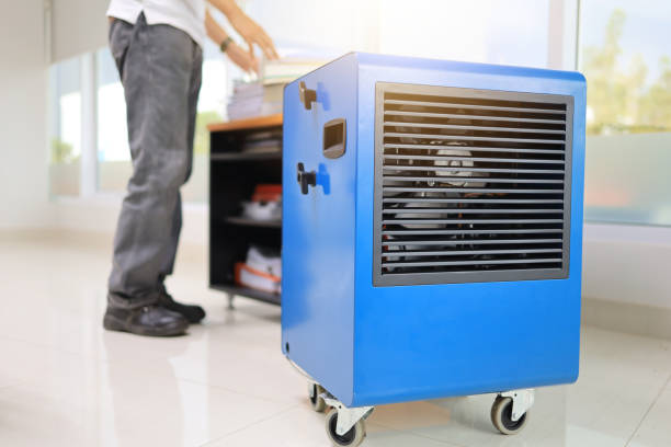 Yuc Valley, CA Mold Removal Pros