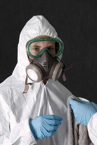 Best Emergency Mold Remediation  in Yuc Valley, CA